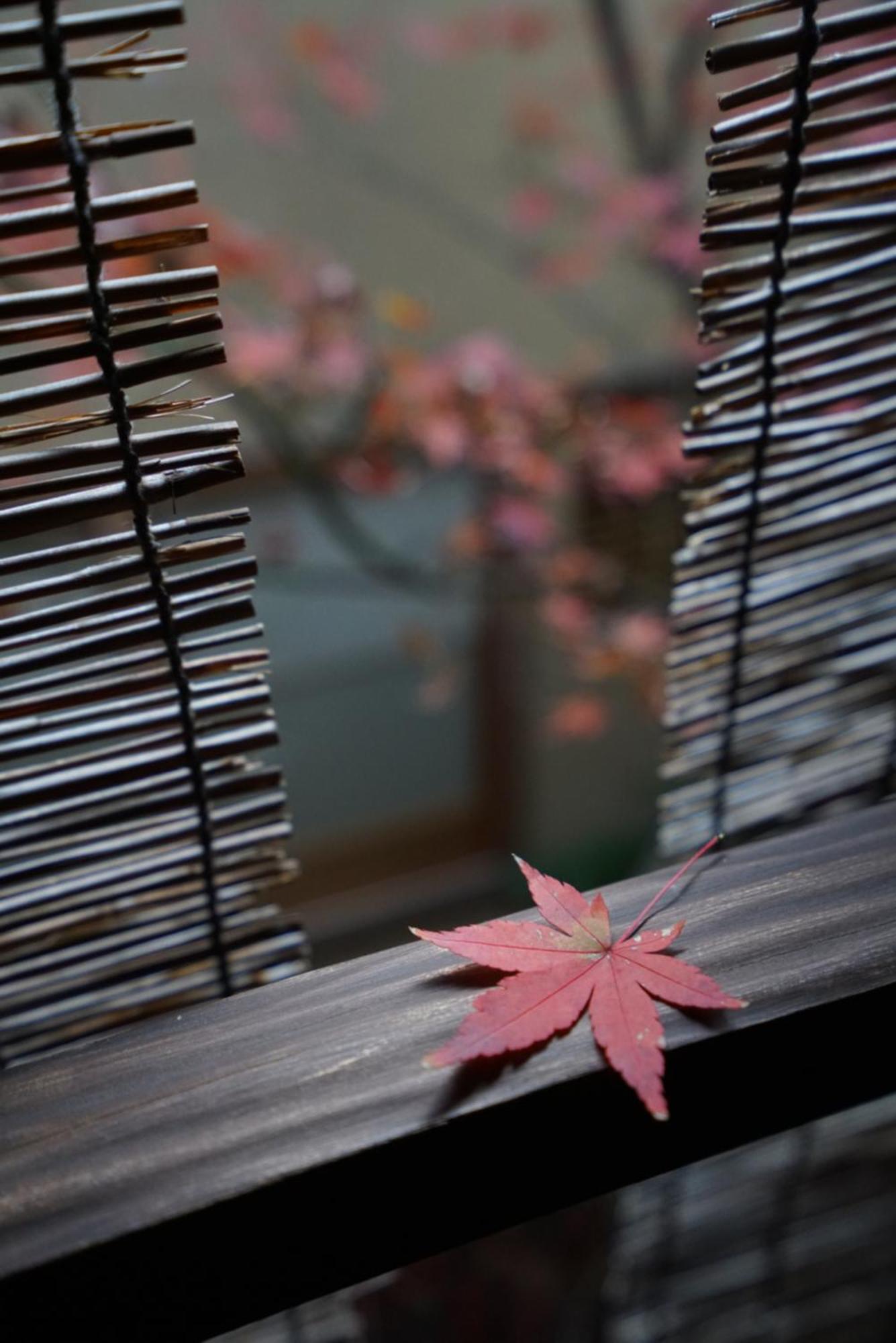 Ryokan Tori Kyoto Eksteriør billede