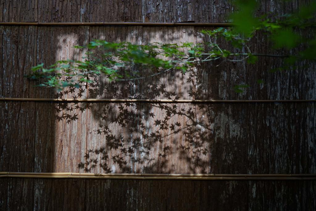 Ryokan Tori Kyoto Eksteriør billede